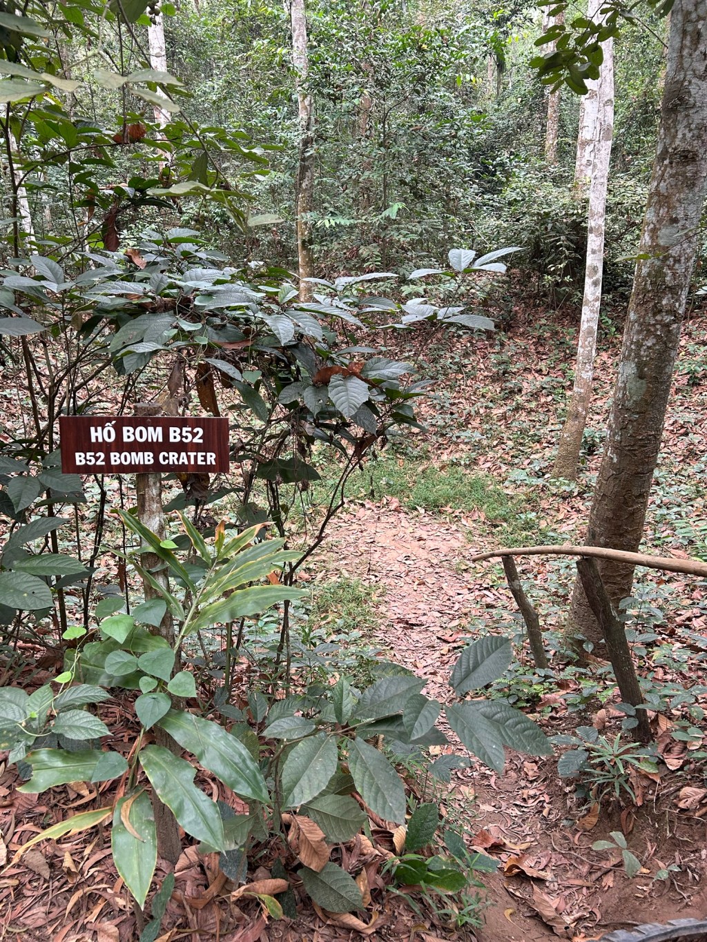 Vietnam: Our Fifth Country Visited on the Norwegian&nbsp;Spirit